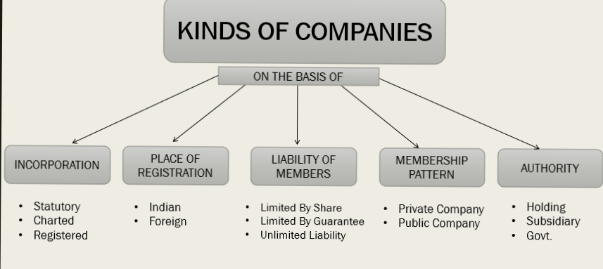 types of companies